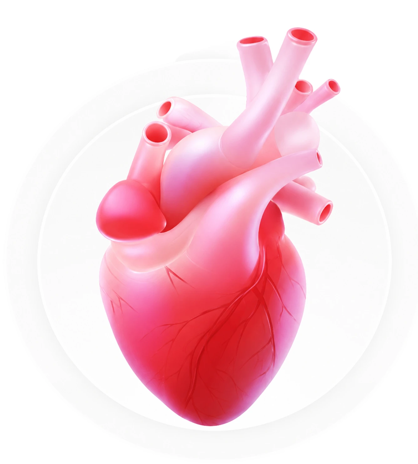 Check Up Cardiovascular integral en Laboratorios Galindo Oaxaca